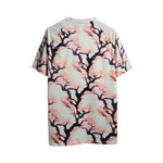 Japão Special Edition 24/25