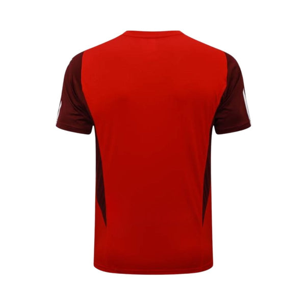 Internacional Training 24/25