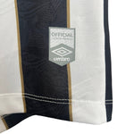 Santos Alternative 24/25