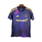 LA Galaxy Alternative 25/26