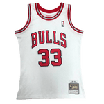 Chicago Bulls 1997-98