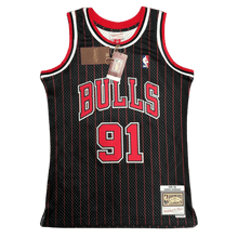 Chicago Bulls 1995-96