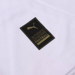 AC Milan Alternative 24/25