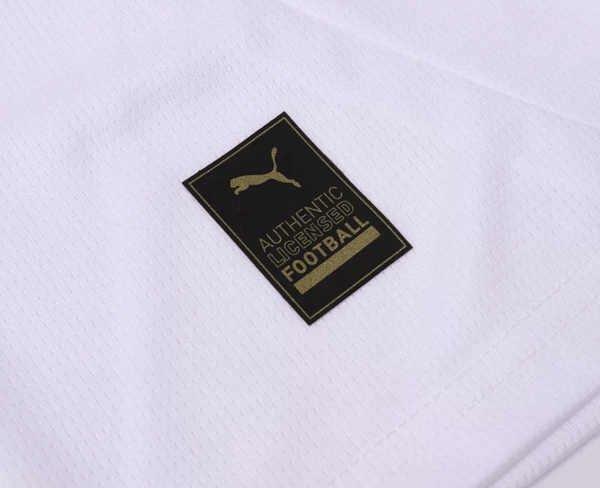 AC Milan Alternative 24/25