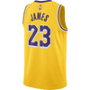Los Angeles Lakers Icon Edition 23-2024