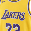 Los Angeles Lakers Icon Edition 23-2024